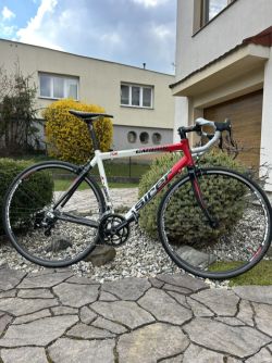 Šírer X-Race 702 carbon