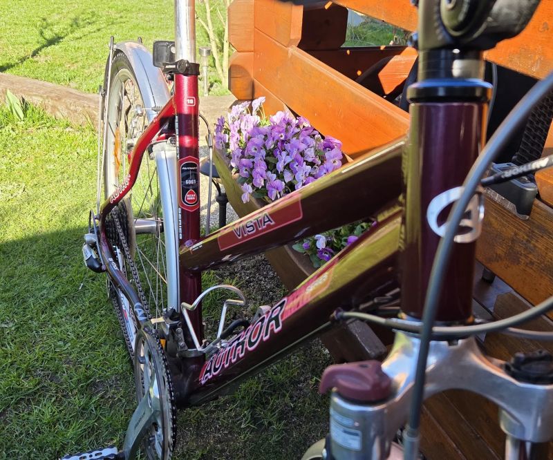 Dámské trekové (městské) kolo Author Vista v. 19" postava 165-183cm jako NOVÉ nevyužité.