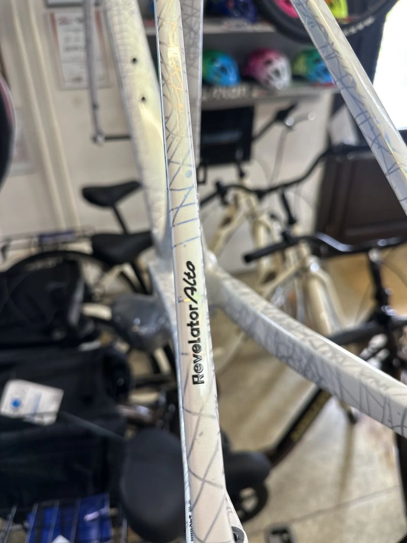 KTM Revelator Alto Nano Carbon