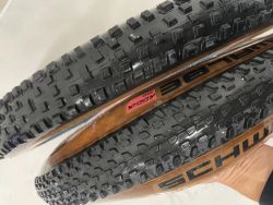 Schwalbe Racing Ray Nobby Nic 29