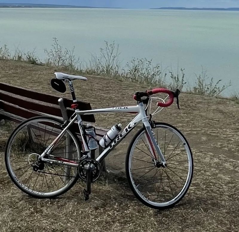 Trek APLHA 2.3 _ram 54