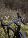 Factor LS MONTANA 2025 | M | SRAM FORCE