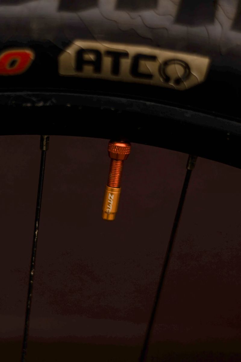 Pivot Cycles Firebird XTR