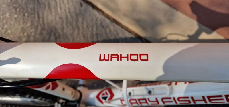Gary Fisher Wahoo