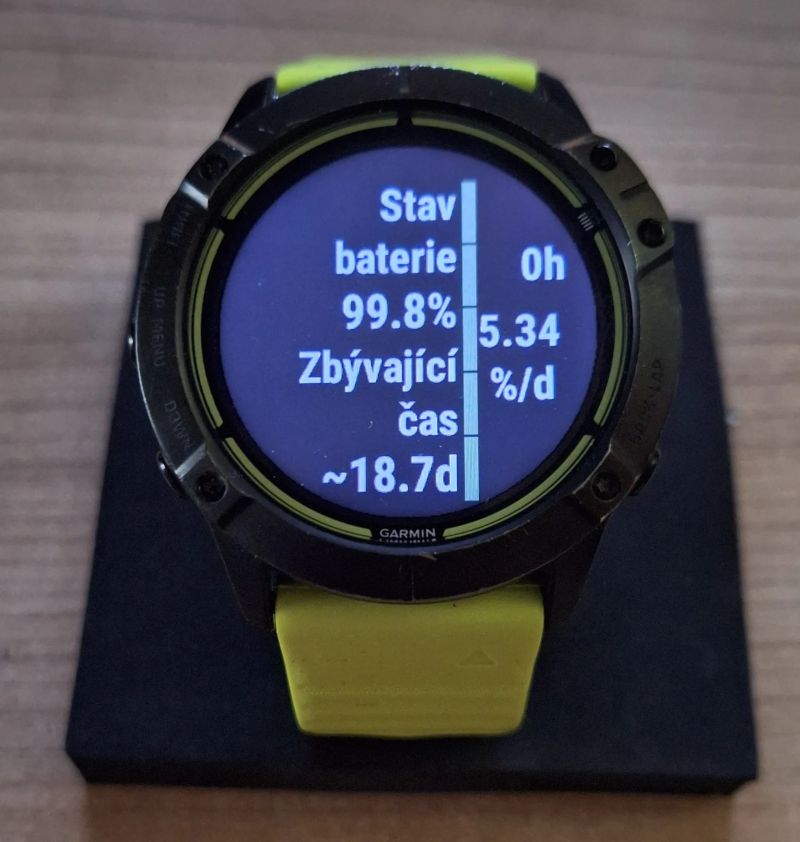 Garmin Enduro