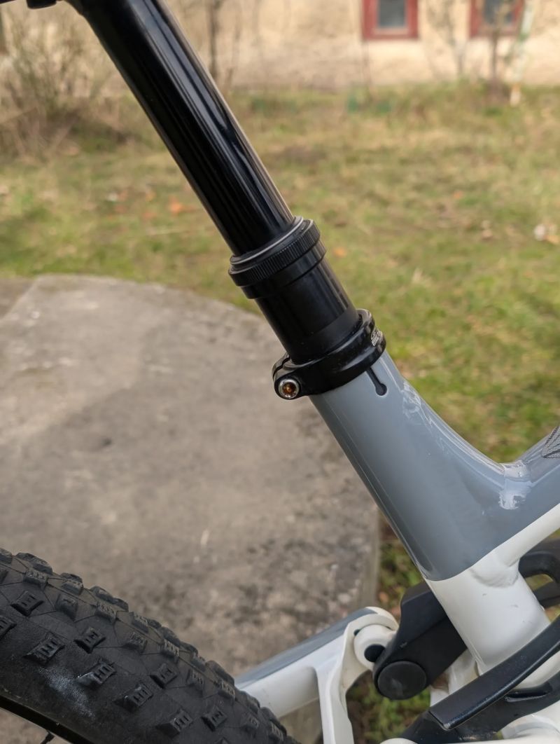 Canyon Neuron Young Hero