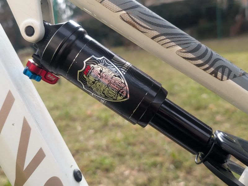 Canyon Neuron Young Hero