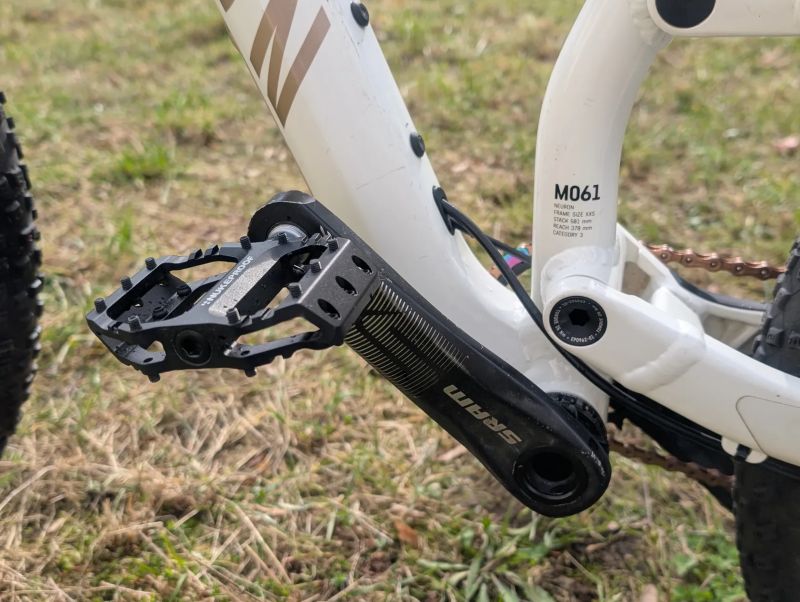 Canyon Neuron Young Hero