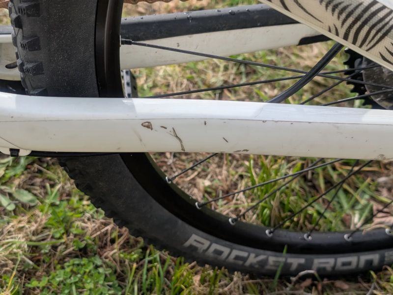 Canyon Neuron Young Hero