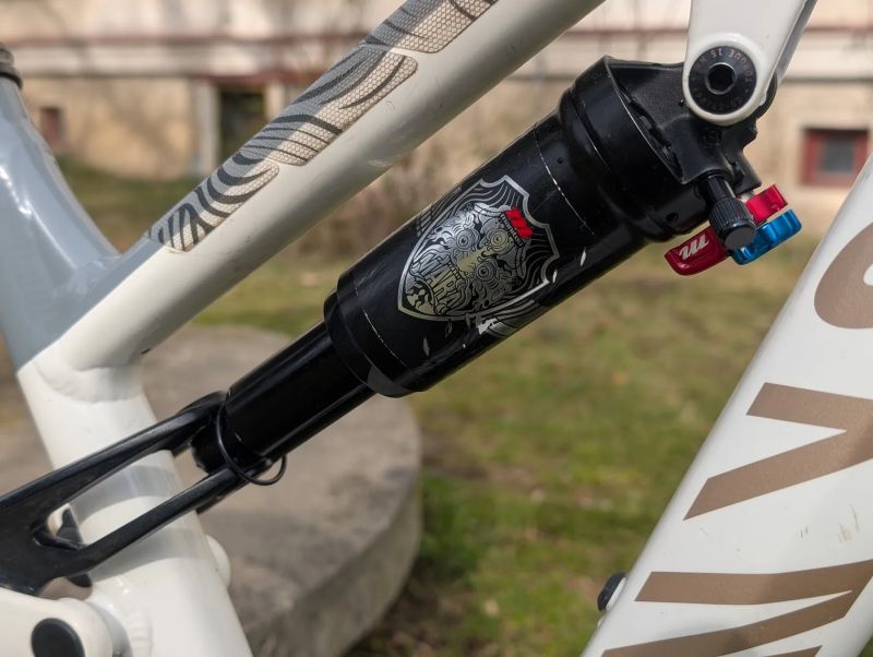 Canyon Neuron Young Hero