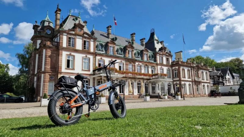 Vakole CO20 MAX 750W*2 Dual Motor 20" Folding Fat Bike 960Wh with Torque Sensor 20Ah Battery