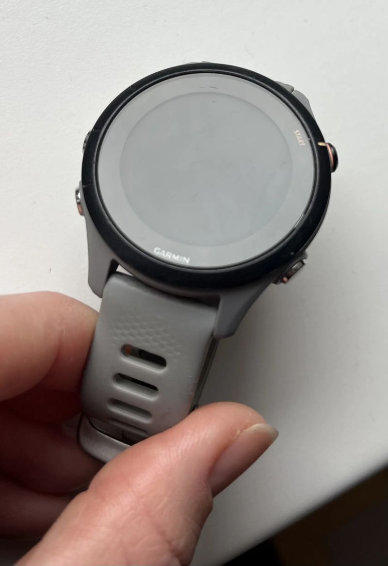 Chytré hodinky Garmin Forerunner 255s
