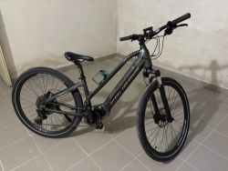 Crussis ONE - OLI Cross Lady