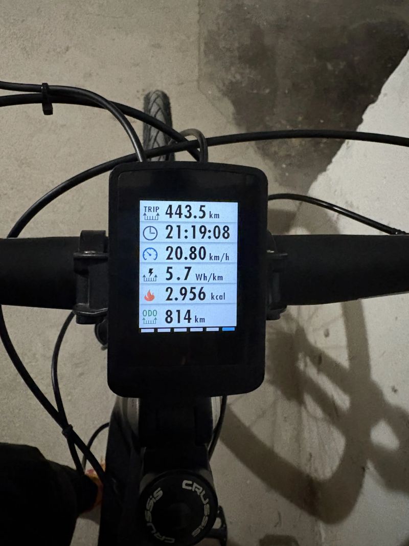 Crussis ONE - OLI Cross Lady