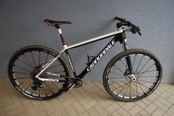 Cannondale F 29 Carbon 1x12 L