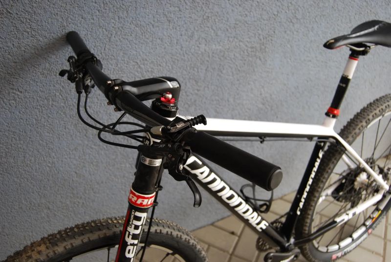 Cannondale F 29 Carbon 1x12 L