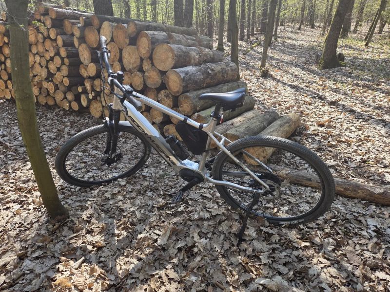 Rock Machine Torrent 