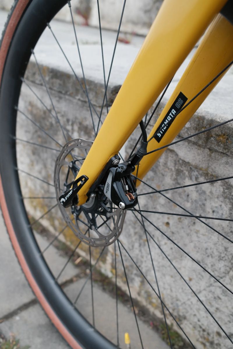 Santa Cruz Stigmata CC (vel. 56)