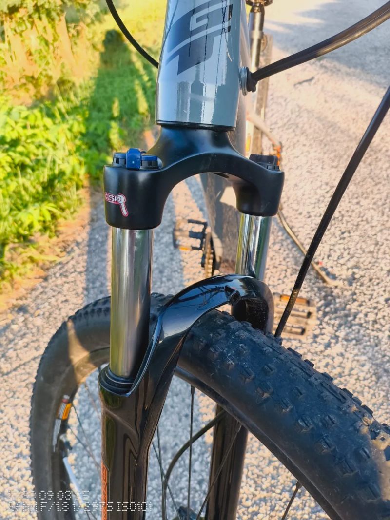 GT Avalanche 29" Sport gry