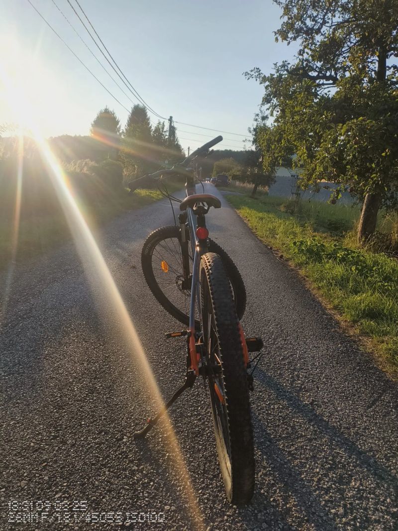 GT Avalanche 29" Sport gry