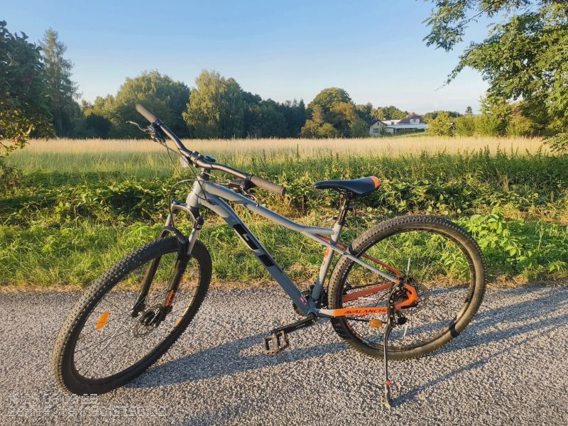 GT Avalanche 29" Sport gry