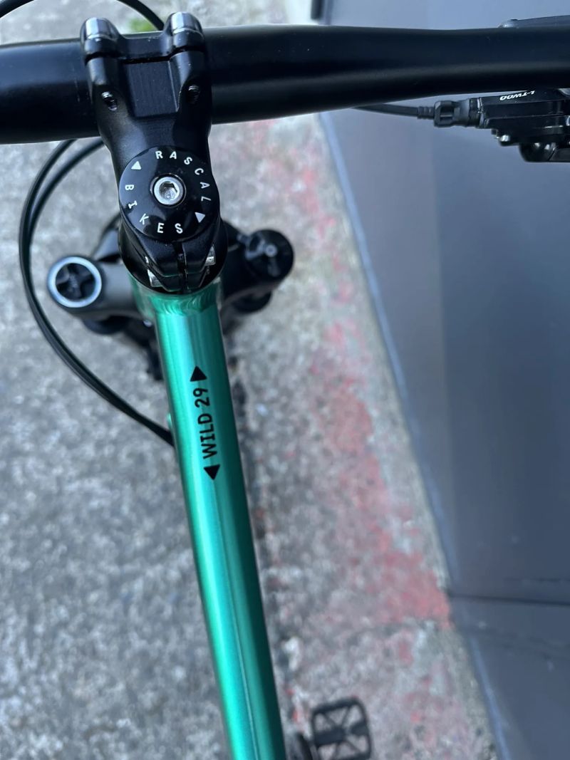 Rascal Wild 29 12,7 kg