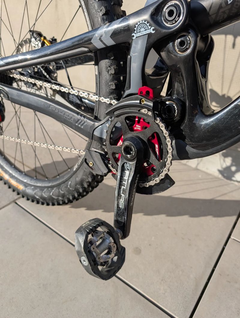 Pivot Cycles Phoenix