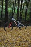 Mondraker Summum R