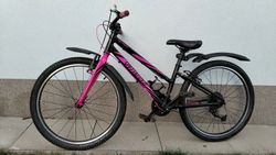 České lehké kolo Core Nipper 24