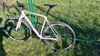 Canyon Endurace CF SL