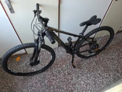 4EVER MELODY 29 LADY