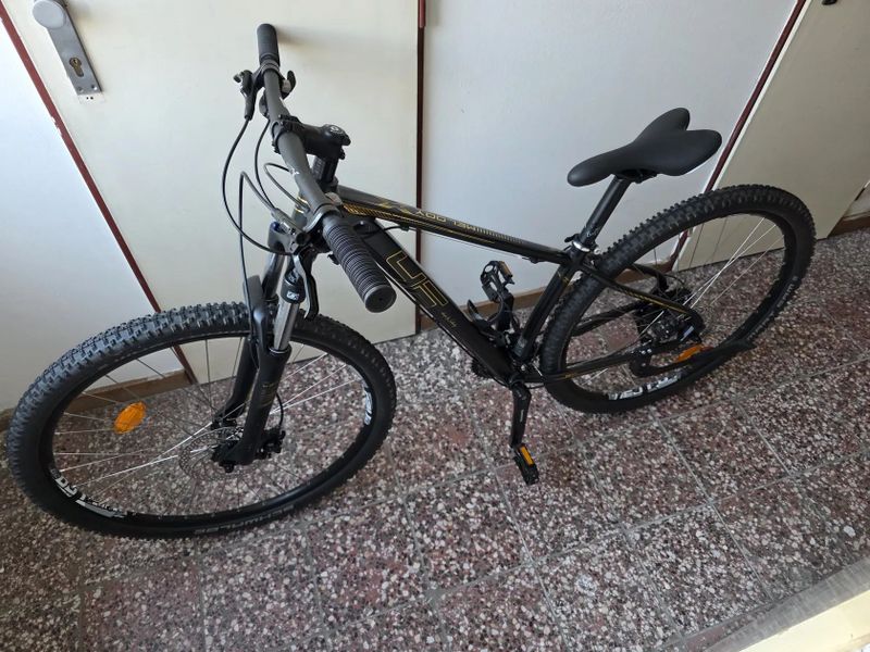 4EVER MELODY 29 LADY