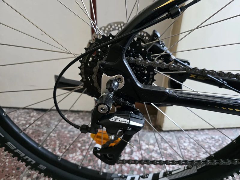 4EVER MELODY 29 LADY