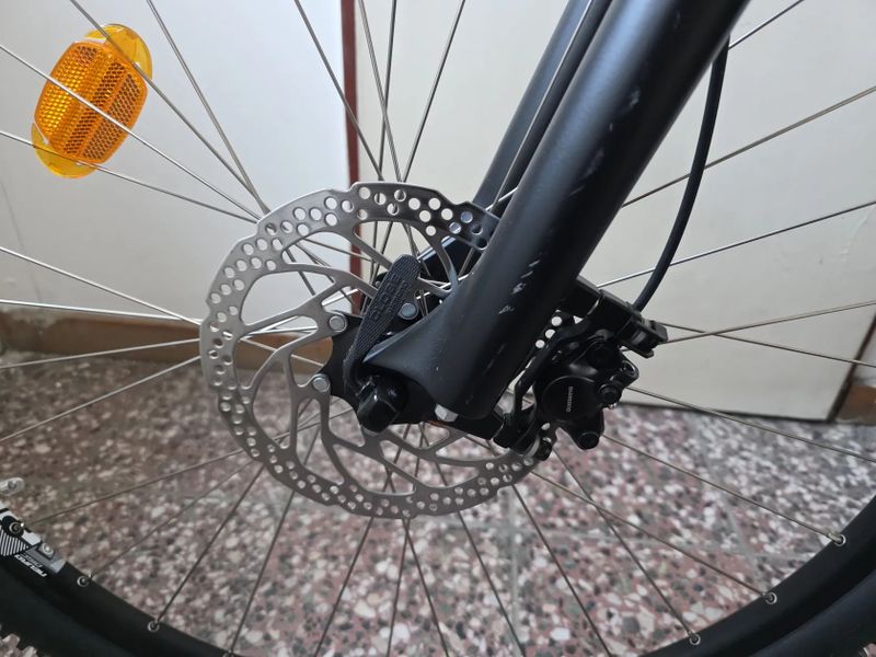 4EVER MELODY 29 LADY