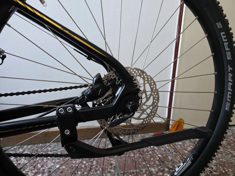 4EVER MELODY 29 LADY