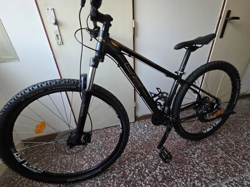 4EVER MELODY 29 LADY