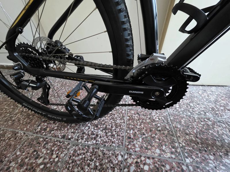 4EVER MELODY 29 LADY