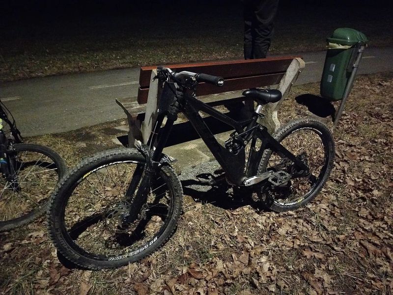 Ctm mons pro 2014, downhill, freeride 