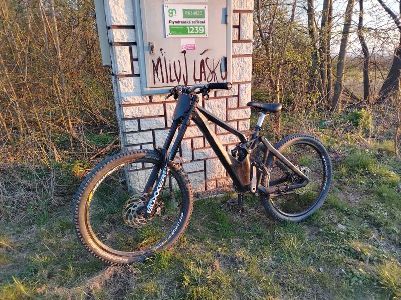 Ctm mons pro 2014, downhill, freeride 