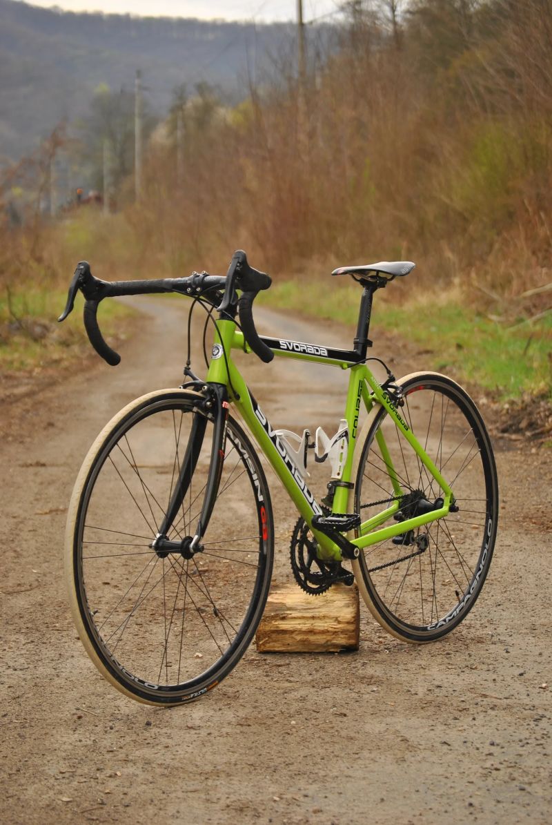 Silniční kolo Svorada Course