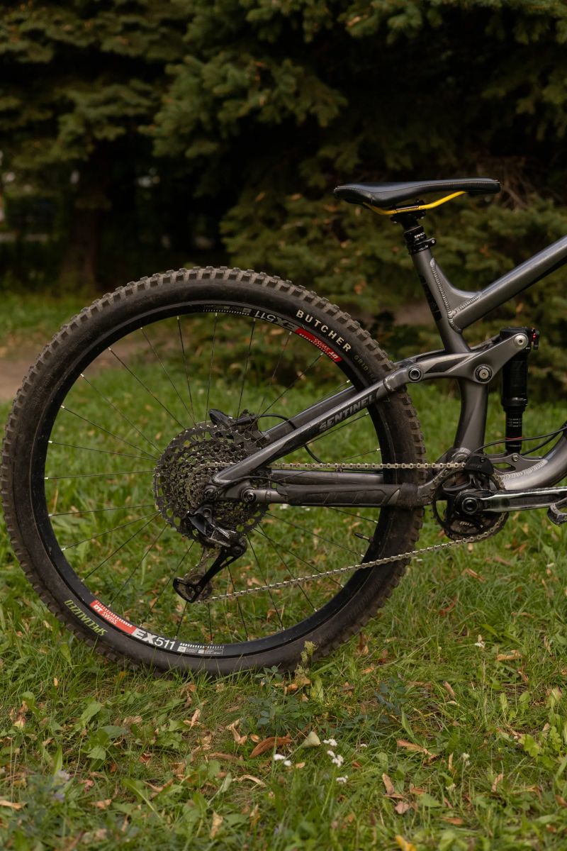 Transition Sentinel AL 29