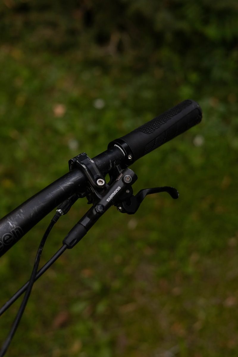 Transition Sentinel AL 29