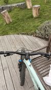 Specialized Status 160