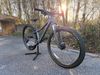 Specialized Rockhopper Comp