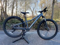 Specialized Rockhopper Comp