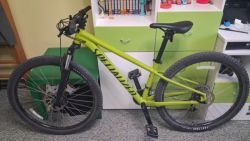 Specialized Rockhopper 29" Satin Olive Green/Black 2022