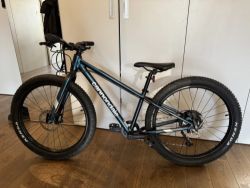 Cannondale Cujo 24”