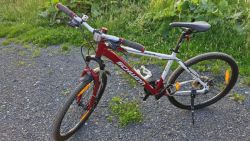 Schwinn Messa Sport