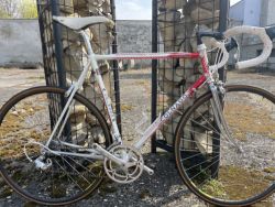 Colnago Master