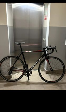 silniční kolo Focus Cayo 2.0 AL, shimano 105 2x11